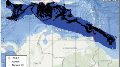 ESSO EIAFigure 9.1-17a: Deterministic Map for Scenario 14—Predicted Transport after 54 Days from an Unmitigated 202,192-BPD Subsea Release (Maximum WCD) of Crude Oil Lasting 30 Days (Jun−Nov)